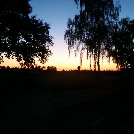 Entspannen & Wohlfuehlen In Der Lueneburger Heide Vierhofen Luaran gambar